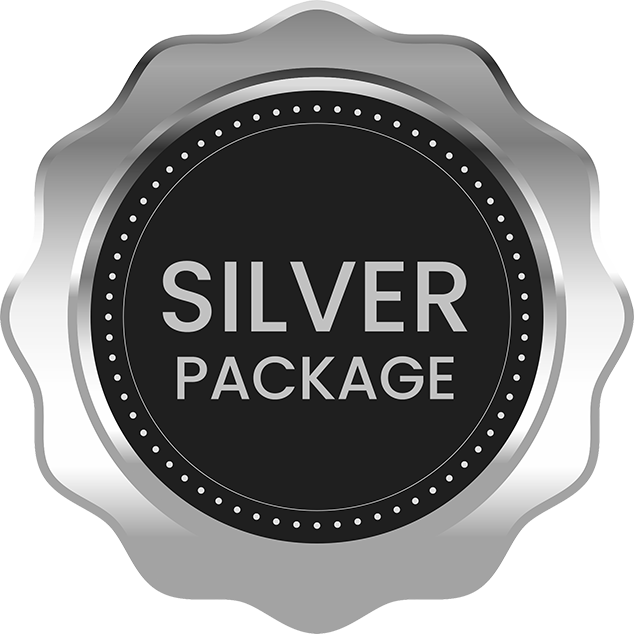 silver badge tsw 600 px